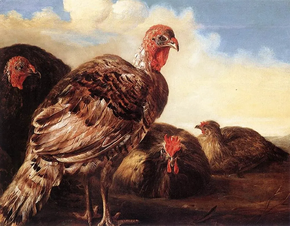 Aelbert Cuyp_Domestic Fowl