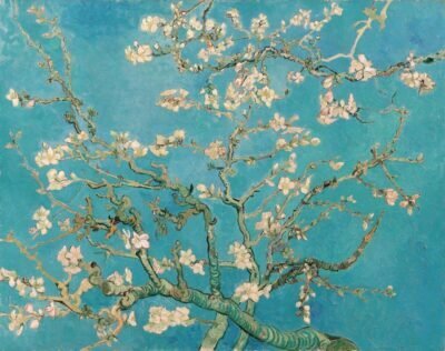 Almond Blossom