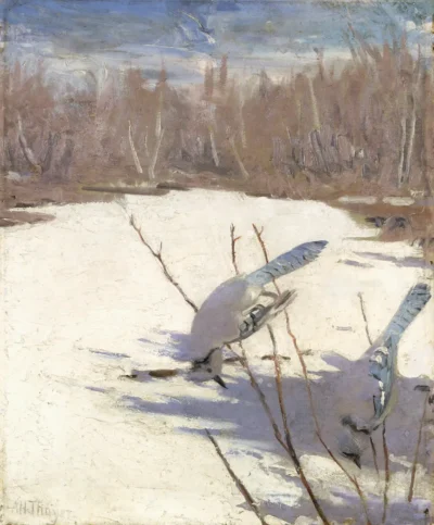 abbott handerson thayer blue jays in winter