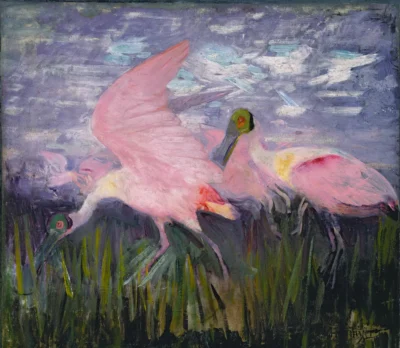 abbott handerson thayer roseate spoonbills