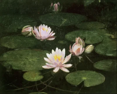 abbott handerson thayer waterlilies 1884