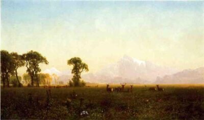 albert bierstadt deer grazing, grand tetons, wyoming 1861