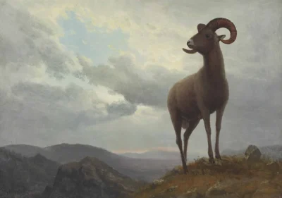 albert bierstadt long horned sheep