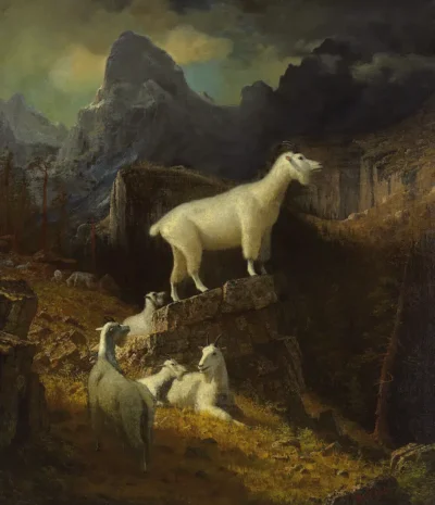 albert bierstadt rocky mountain goats