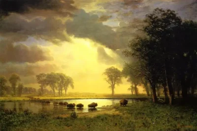 albert bierstadt the buffalo trail