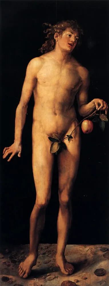 albrecht durer adam