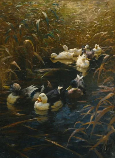 Alexander Koester_Ducks in Autumn