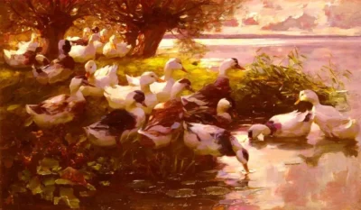 Alexander Koester_Ducks On A Lake