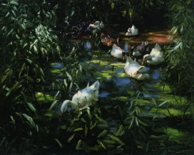 Alexander Koester_Enten im Schilfteich