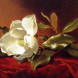 a magnolia on red velvet martin johnson heade